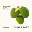 Sugar Baby