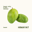 Himayat / Imam Pasand