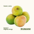 Rumani