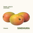Sindhura